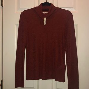 Madewell sparkly turtleneck top